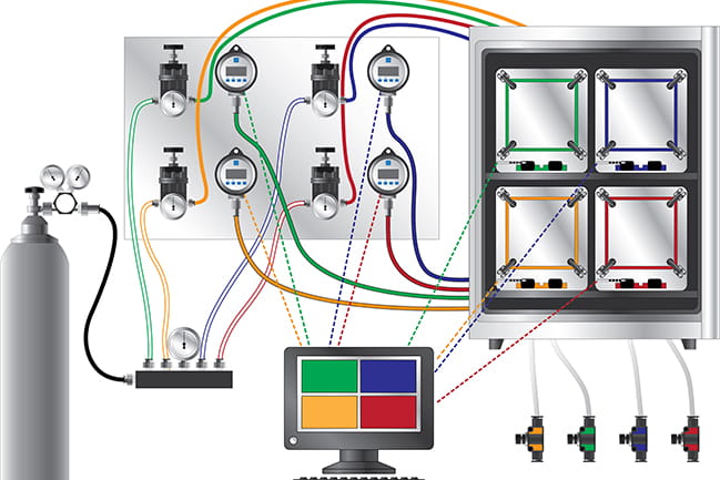 Modeling pressure-induced cellular injuries in the brain