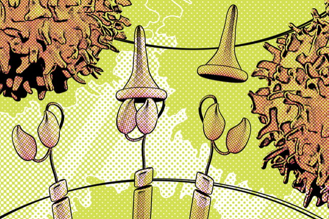 Sylized Illustration of the CAR T Supercell