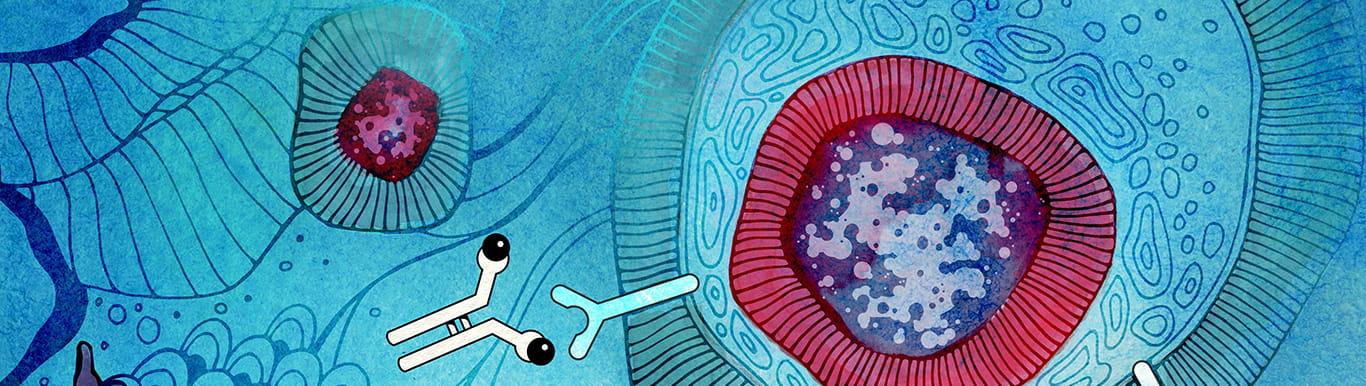 Summer 2018 Progress Notes Hero