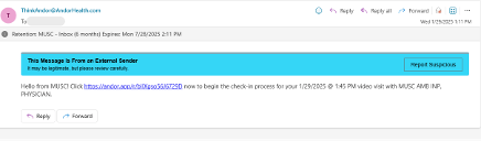 Video Visit Instructions