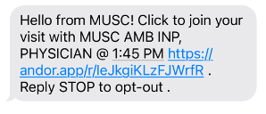 Video Visit Instructions