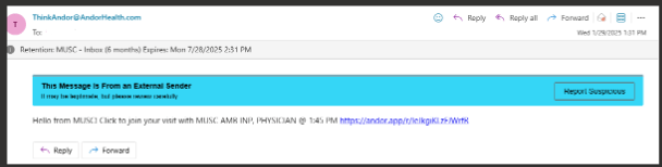 Video Visit Instructions