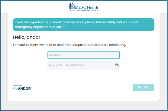 Video Visit Instructions