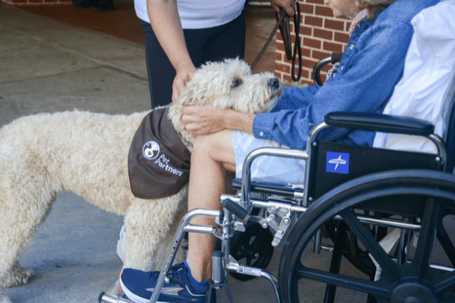 Therapy Dog Bean and patient