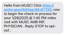 Video Visit Instructions